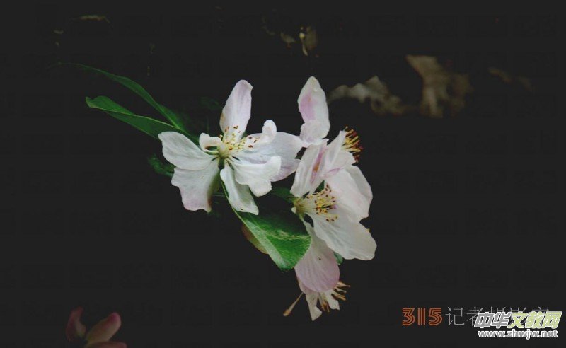 Ц���zӰ:��Դ�¶�����Ϻ�����