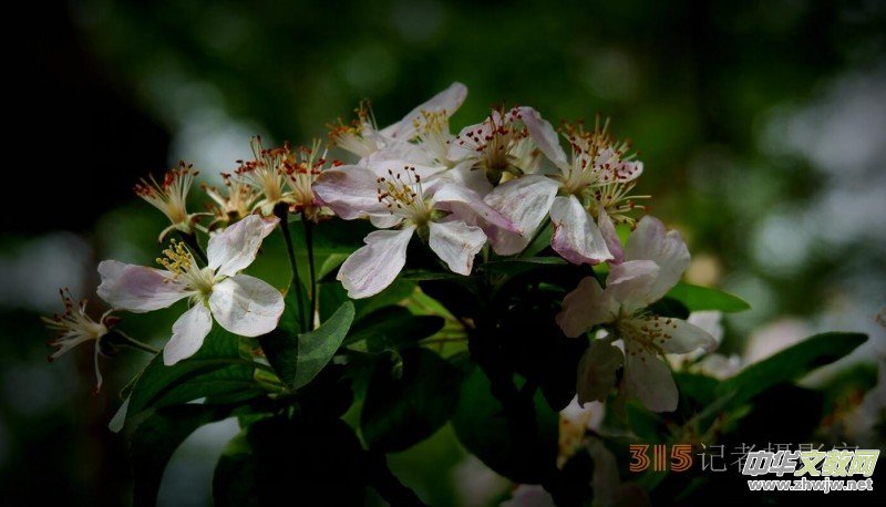 Ц���zӰ:��Դ�¶�����Ϻ�����