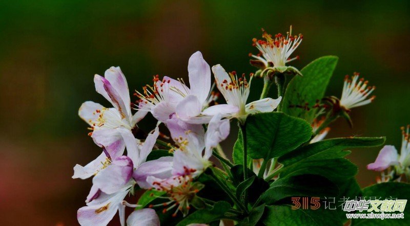 Ц���zӰ:��Դ�¶�����Ϻ�����