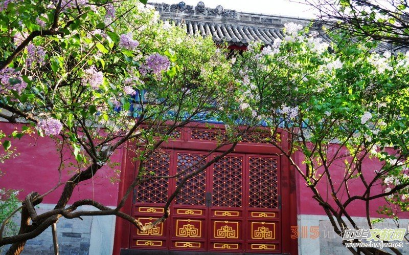 Ц���zӰ:��Դ�¶�����Ϻ�����