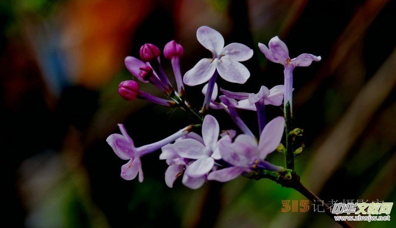 Ц���zӰ:��Դ�¶�����Ϻ�����