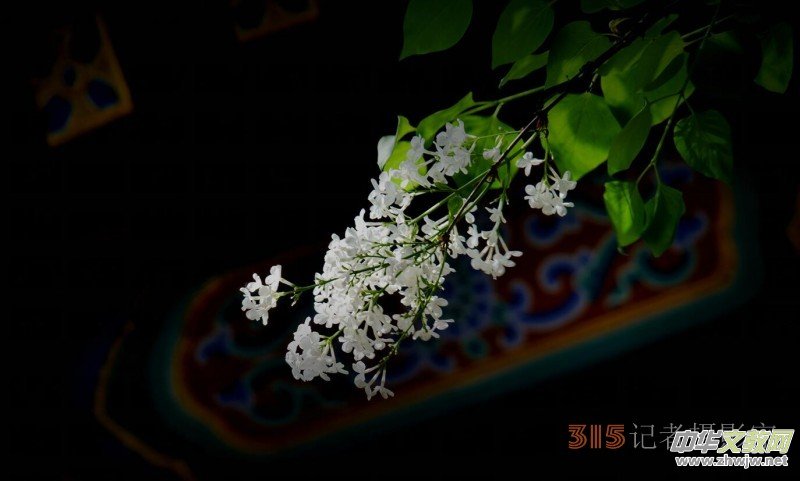 Ц���zӰ:��Դ�¶�����Ϻ�����