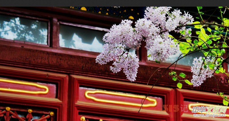 Ц���zӰ:��Դ�¶�����Ϻ�����