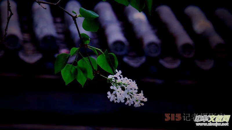 Ц���zӰ:��Դ�¶�����Ϻ�����