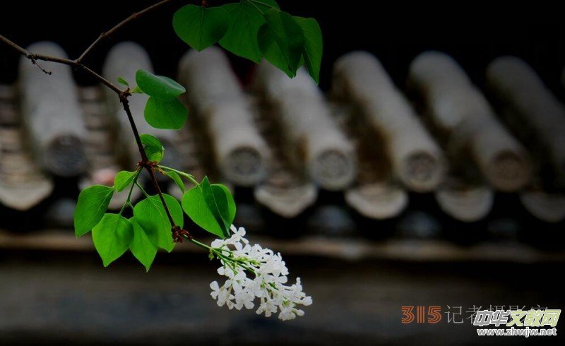 Ц���zӰ:��Դ�¶�����Ϻ�����