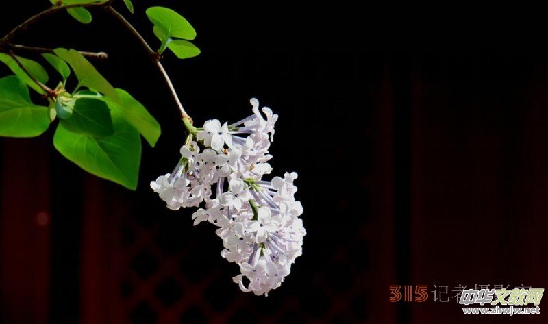 Ц���zӰ:��Դ�¶�����Ϻ�����