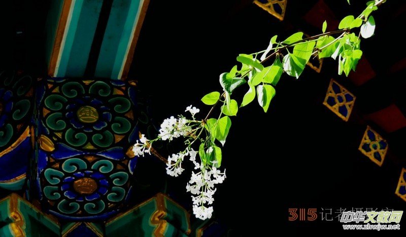 Ц���zӰ:��Դ�¶�����Ϻ�����