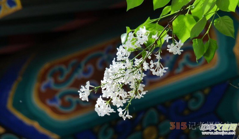 Ц���zӰ:��Դ�¶�����Ϻ�����