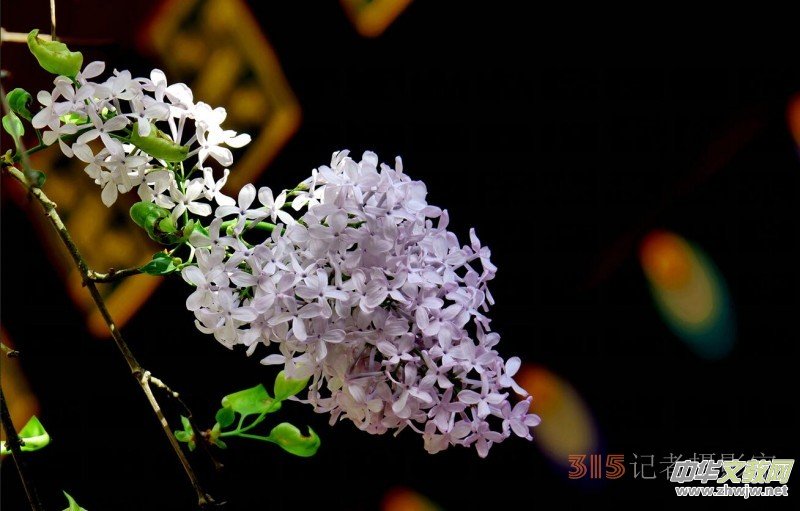 Ц���zӰ:��Դ�¶�����Ϻ�����