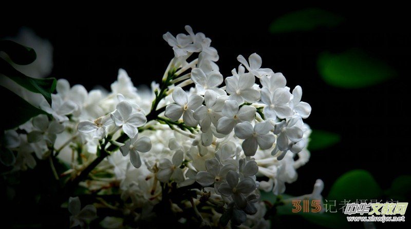 Ц���zӰ:��Դ�¶�����Ϻ�����