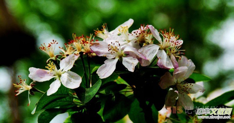 Ц���zӰ:��Դ�¶�����Ϻ�����