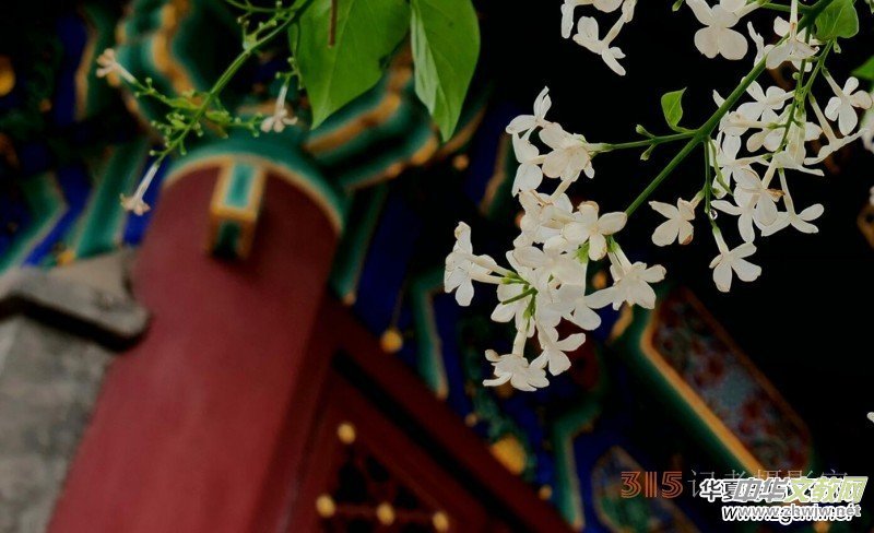 �������ć��W(xu��)Ժһ�е���Դ���p����Ԋ�~��������