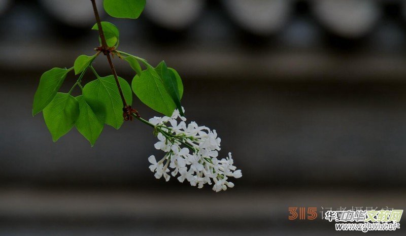 �������ć��W(xu��)Ժһ�е���Դ���p����Ԋ�~��������