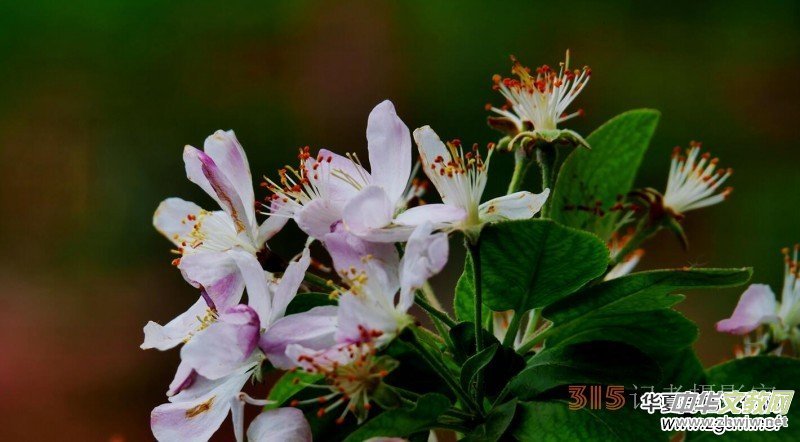 �������ć��W(xu��)Ժһ�е���Դ���p����Ԋ�~��������