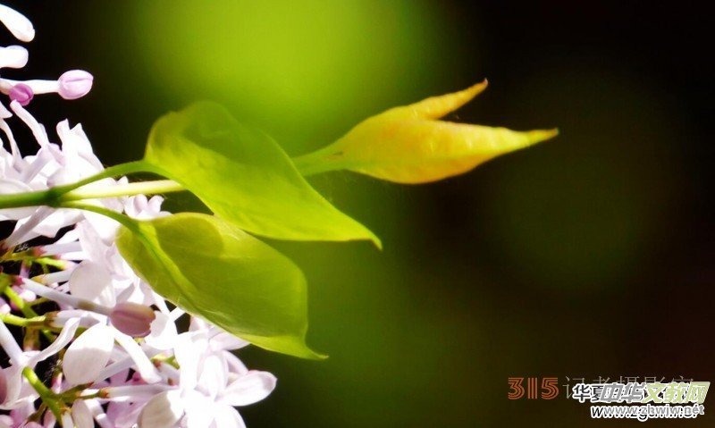 �������ć��W(xu��)Ժһ�е���Դ���p����Ԋ�~��������