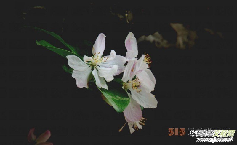 �������ć��W(xu��)Ժһ�е���Դ���p����Ԋ�~��������