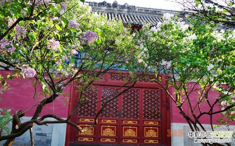 �������ć��W(xu��)Ժһ�е���Դ���p����Ԋ�~��������