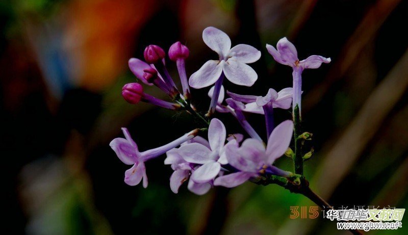 �������ć��W(xu��)Ժһ�е���Դ���p����Ԋ�~��������