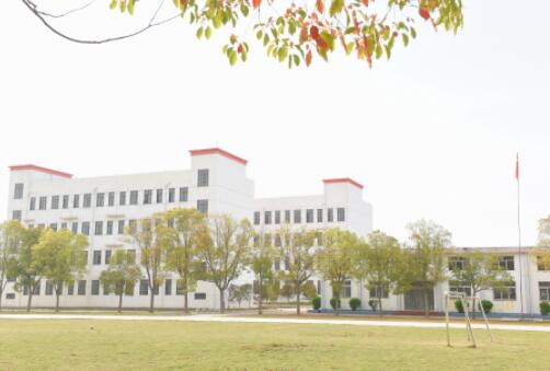 ��(qi��ng)���W(xu��)У����(x��)���� ȫ����߽̌W(xu��)�|(zh��)��