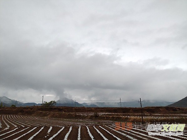 ����Ԋ���zӰ�����_ɽ��ɫ