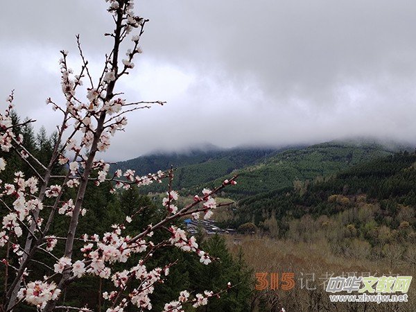 ����Ԋ���zӰ�����_ɽ��ɫ