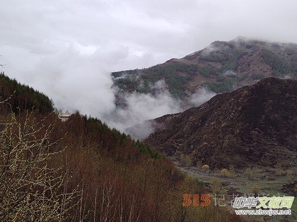 ����Ԋ���zӰ�����_ɽ��ɫ