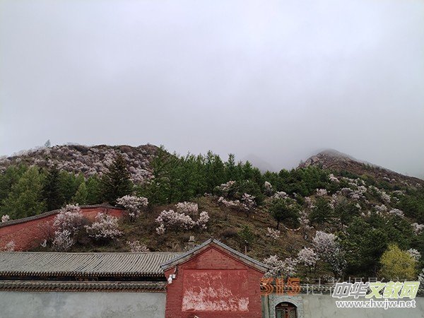 ����Ԋ���zӰ�����_ɽ��ɫ