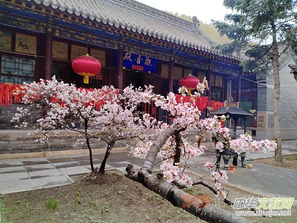 ����Ԋ���zӰ�����_ɽ��ɫ