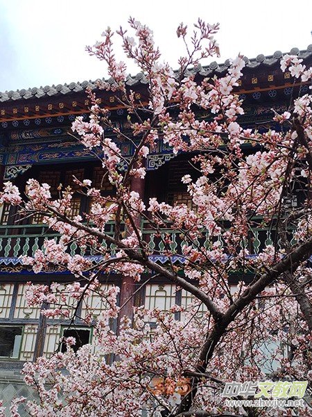 ����Ԋ���zӰ�����_ɽ��ɫ