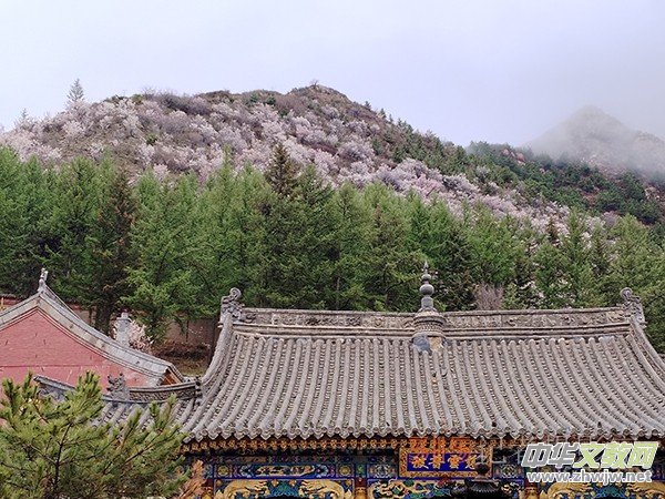 ����Ԋ���zӰ�����_ɽ��ɫ