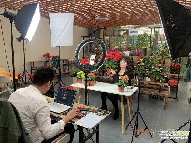 �������+�a(ch��n)�I(y��)�����M��(j��ng)�����|(zh��)���l(f��)չ