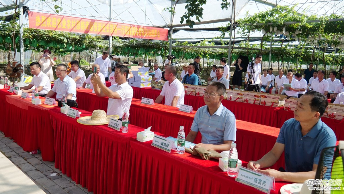 ���ш@�����r(n��ng)æ����̼��˷�̼�����ѬF(xi��n)���^Ħ���ڸ���������h(hu��n)�����_