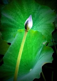 �Y�l(w��i)ƽ�֙C�zӰ