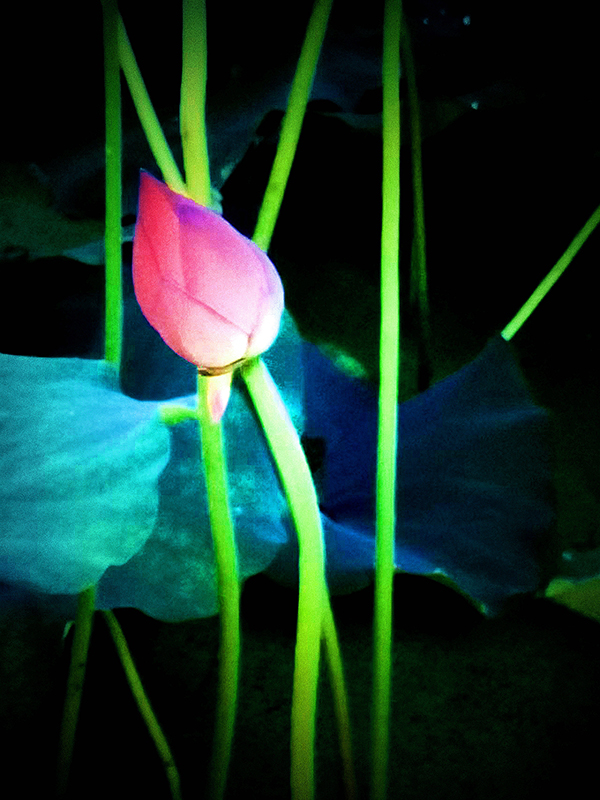 �Y�l(w��i)ƽ�֙C(j��)�zӰ