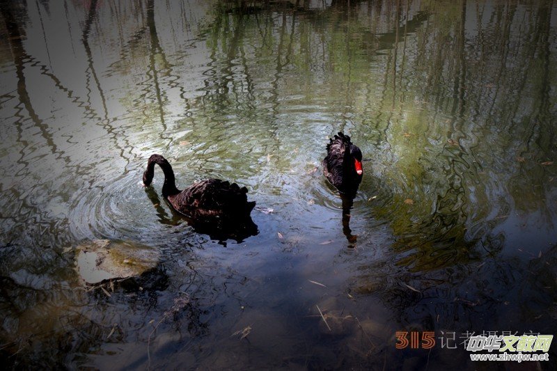 2023����zӰ�@����Ʒ�x��