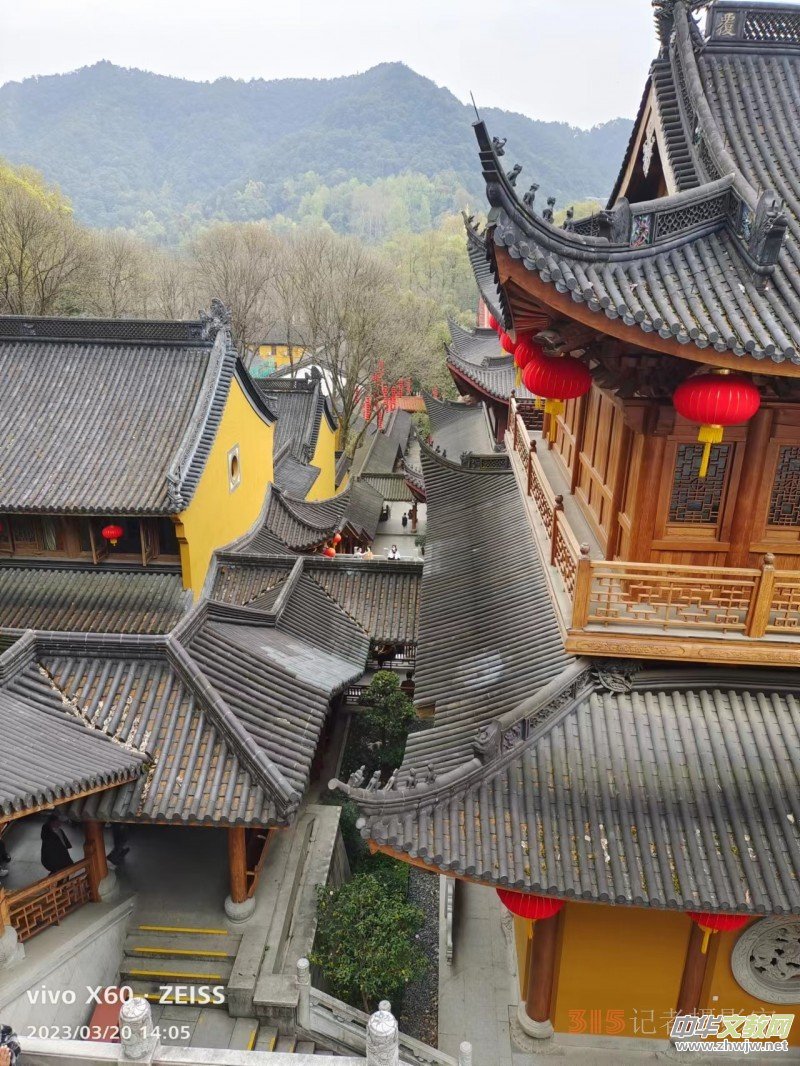 2023����zӰ�@����Ʒ�x��