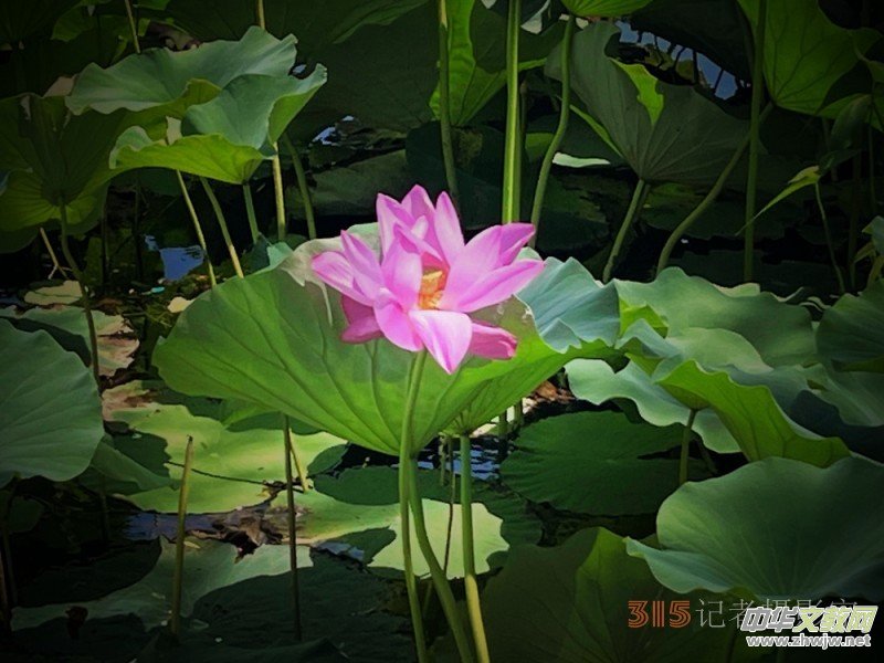 2023����zӰ�@����Ʒ�x��