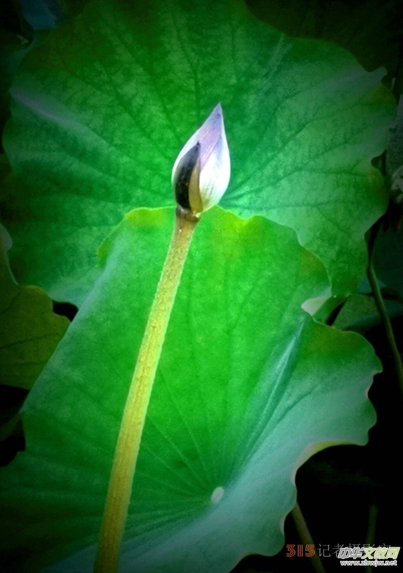 2023����zӰ�@����Ʒ�x��