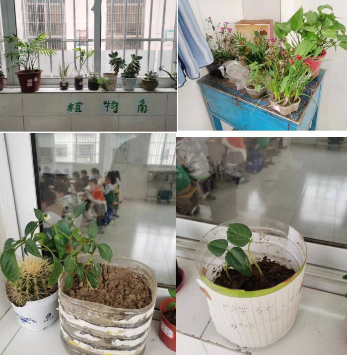 �҂��Ĺ�(ji��)�ա�������������ʡ�����������(zh��n)С�W(xu��)����Ԋ��(hu��)�������Ļ��M(j��n)У�@ϵ�л��(d��ng)