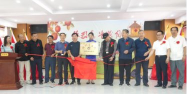 ���¾��^���q�¡�����������Ո(q��ng)չ�_Ļ�߬F(xi��n)�������W(w��ng)չ�[���(d��ng)���Ľ���