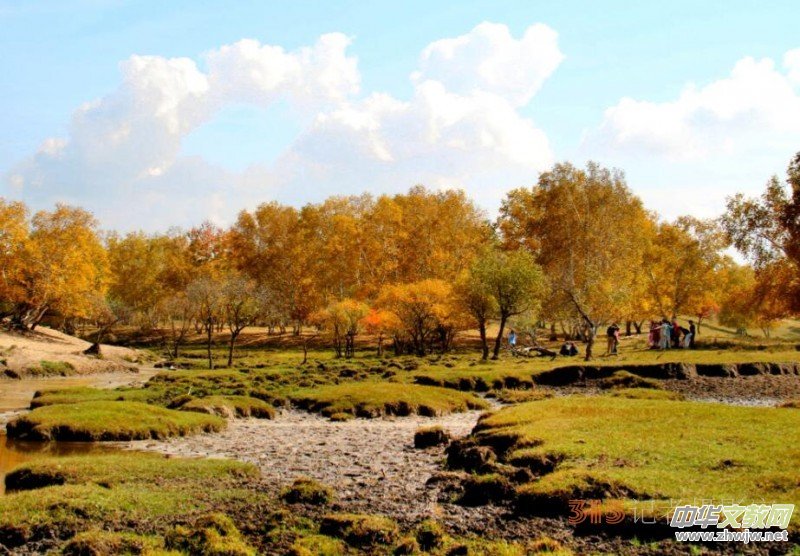 �O��܊�zӰ���򿨞��m���y(t��ng)��ԭ