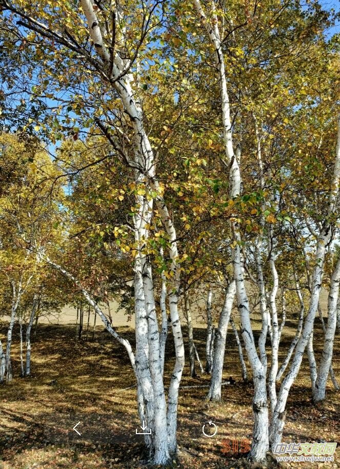 �O��܊�zӰ���򿨞��m���y(t��ng)��ԭ