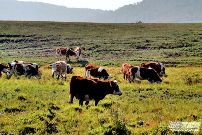 �O��܊�zӰ���򿨞��m���y(t��ng)��ԭ