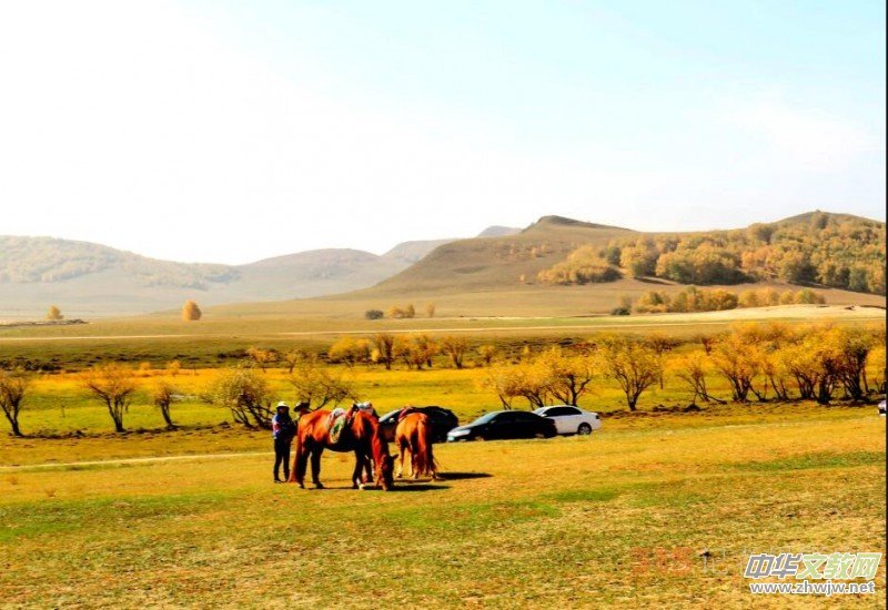 �O��܊�zӰ���򿨞��m���y(t��ng)��ԭ