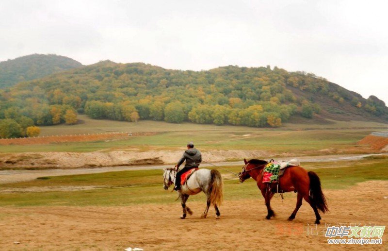 �O��܊�zӰ���򿨞��m���y(t��ng)��ԭ