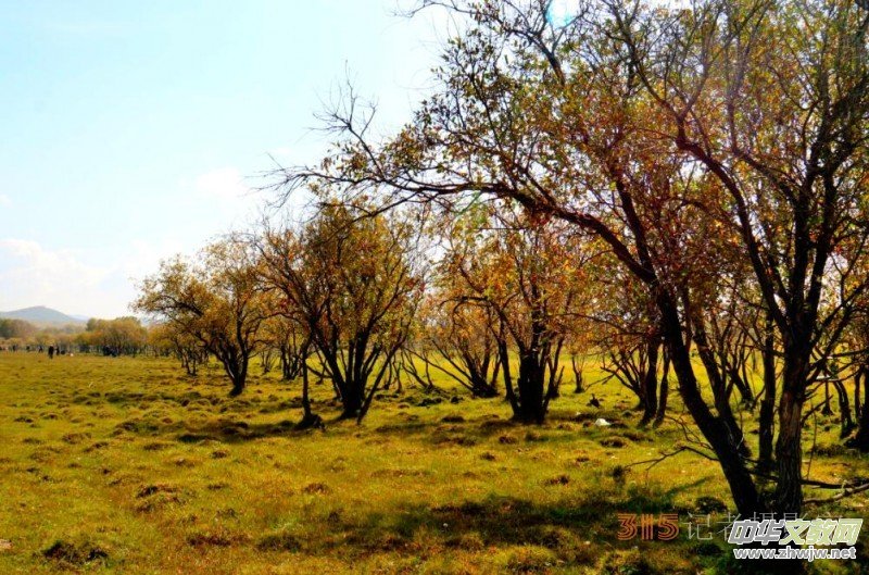 �O��܊�zӰ���򿨞��m���y(t��ng)��ԭ