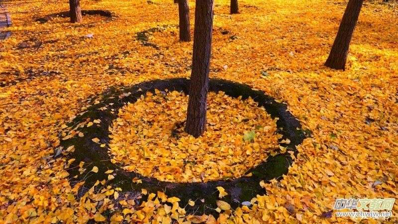 Ԋ���zӰ����î����չ��@�Б�