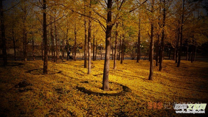 Ԋ���zӰ����î����չ��@�Б�