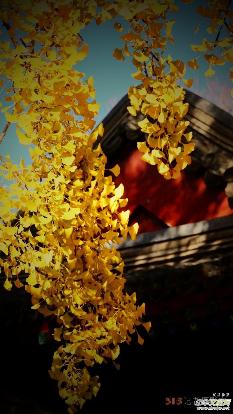 Ԋ���zӰ����î����չ��@�Б�