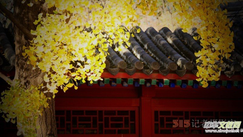 Ԋ���zӰ����î����չ��@�Б�